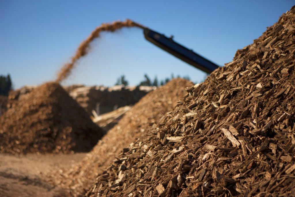 La denuncia degli esperti: «Bioeconomia, la strategia Ue né green né sostenibile»