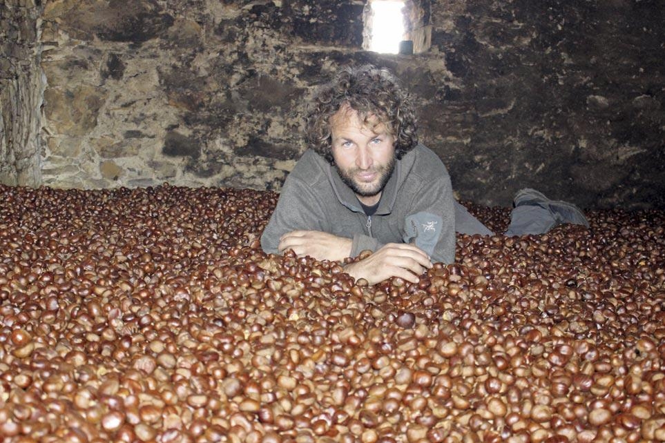 La farina più dolce vien dal bosco