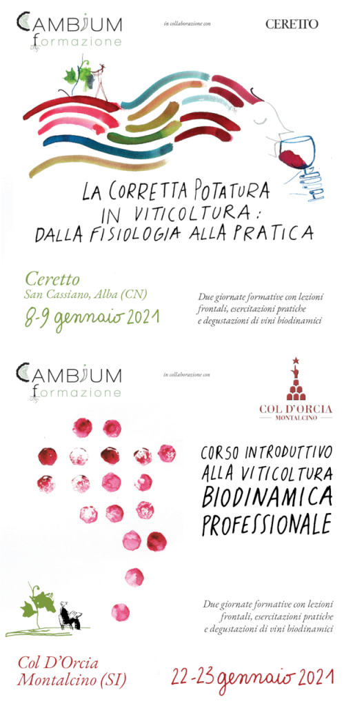 La formazione in viticoltura biodinamica