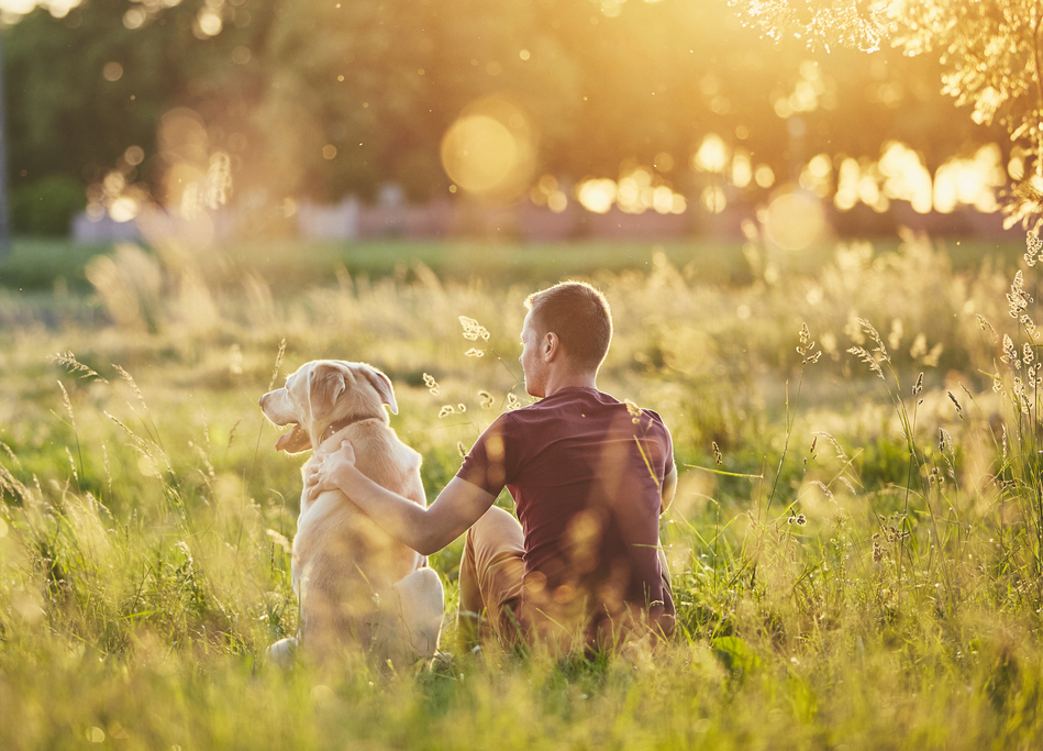 La relazione con il cane: il pensiero sistemico