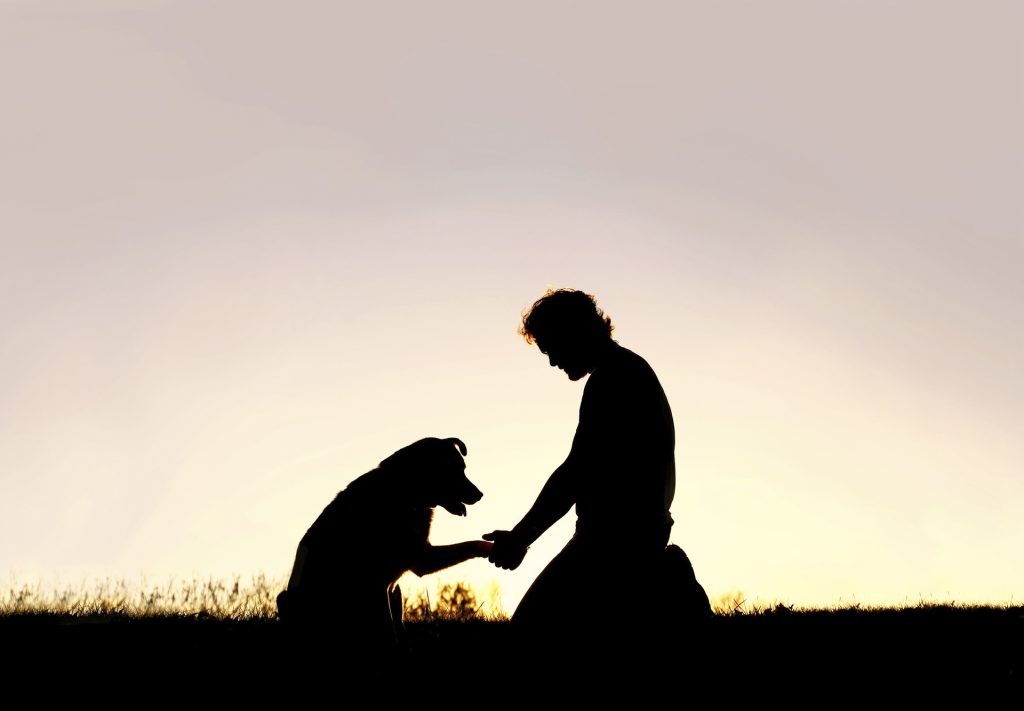 La relazione uomo-cane alla luce dell’approccio sistemico