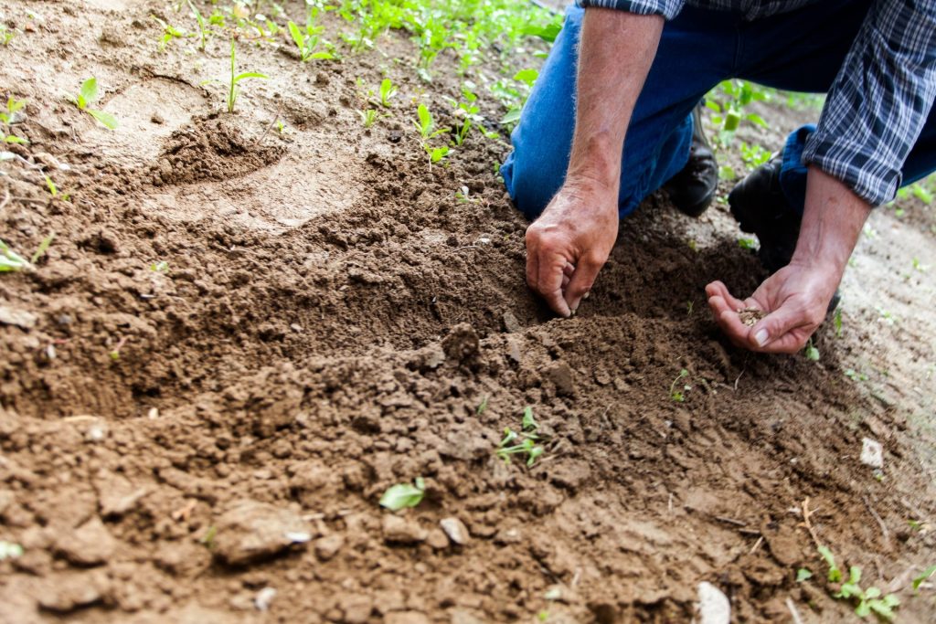 La sostenibilità radicale dell’agroecologia