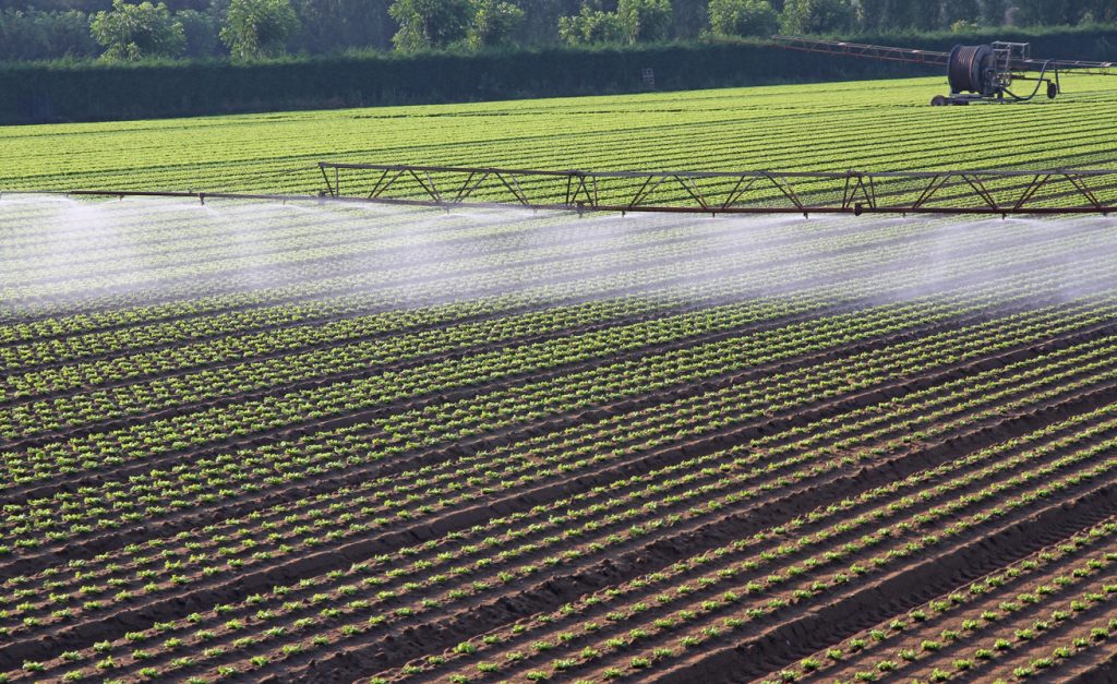 La transizione ecologica sacrificata ancora una volta