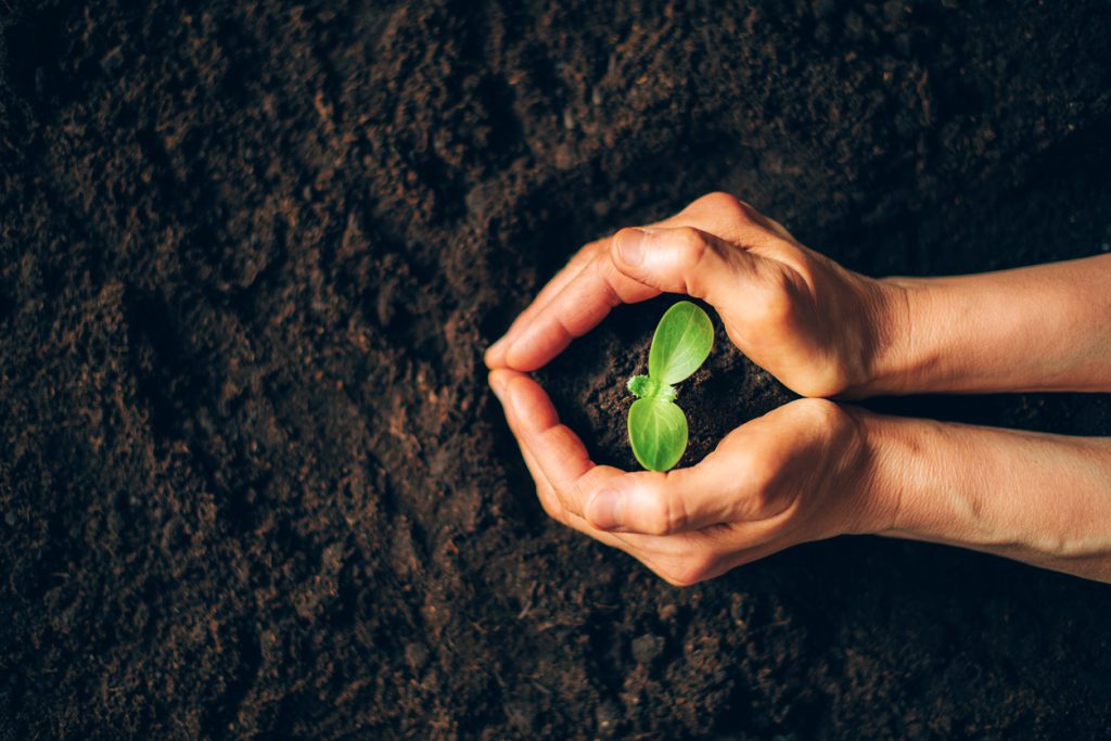 La tutela del suolo passa da un’agricoltura pulita