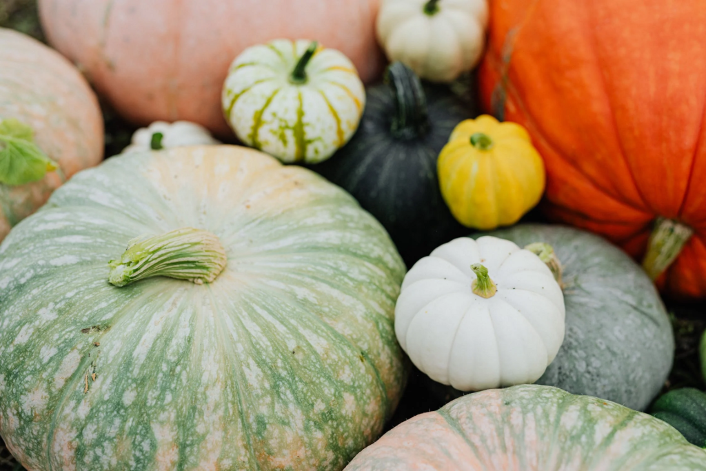 La zucca: tipologie, proprietà e utilizzi in cucina