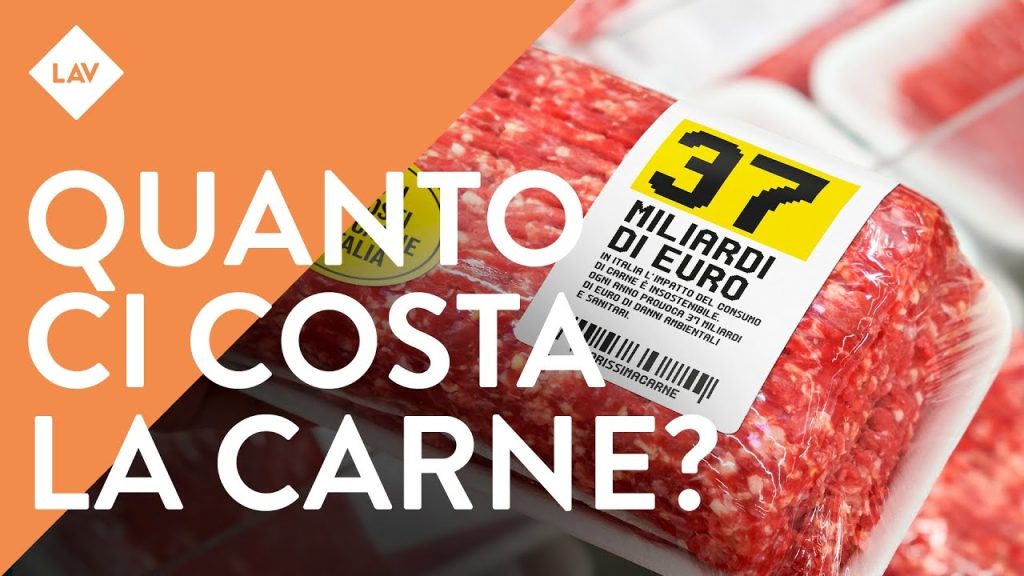 Lav: «Carne, i costi ambientali e sanitari creano un danno di 37 miliardi l’anno»