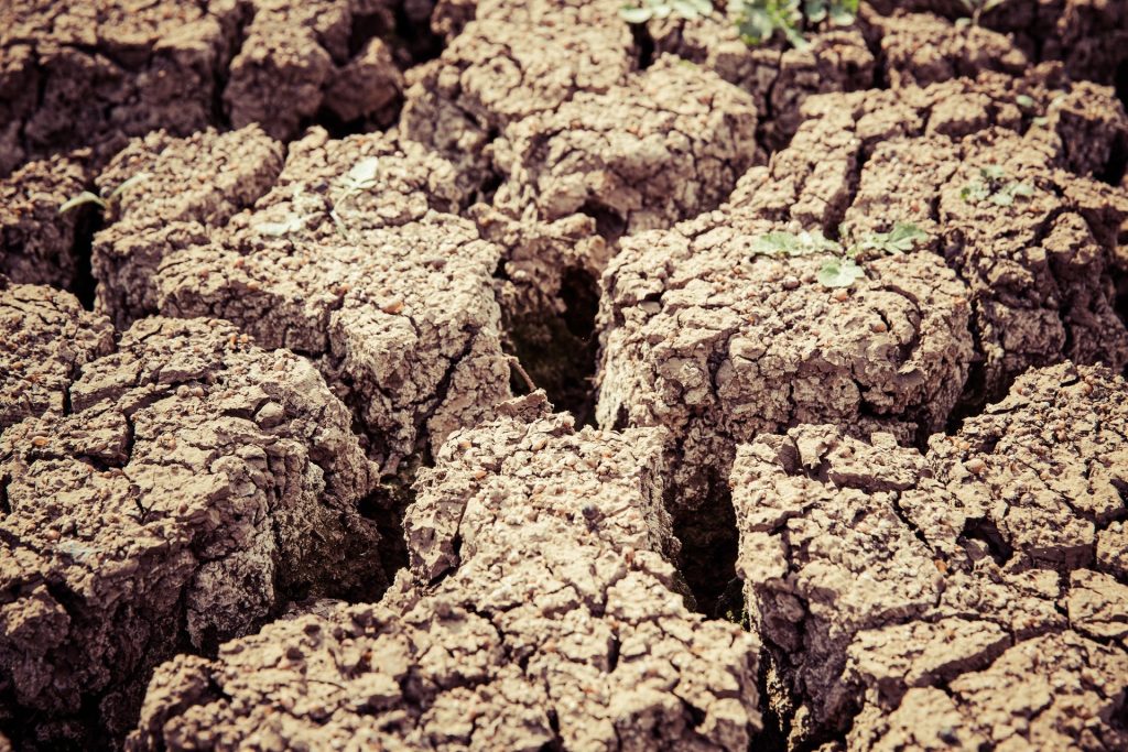 Legambiente: «Crisi idrica è grave segnale d’allarme»