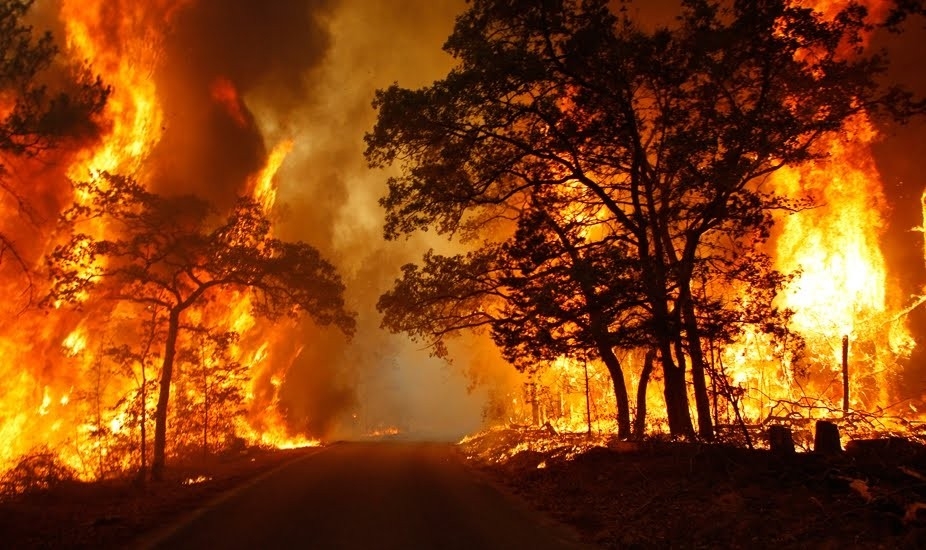 Legambiente: in sette mesi in fiamme ettari di terreno equivalenti a oltre 73.000 campi da calcio