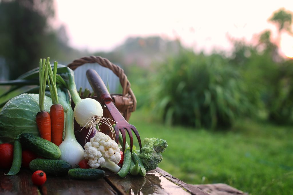 Legge sull’agricoltura biologica: siamo a buon punto!