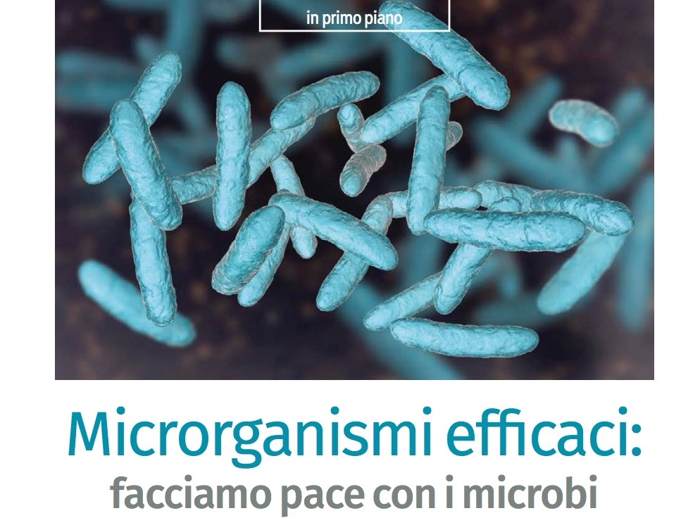 Microrganismi efficaci: facciamo pace con i microbi