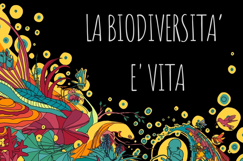 Navdanya: «La biodiversità è vita»/1