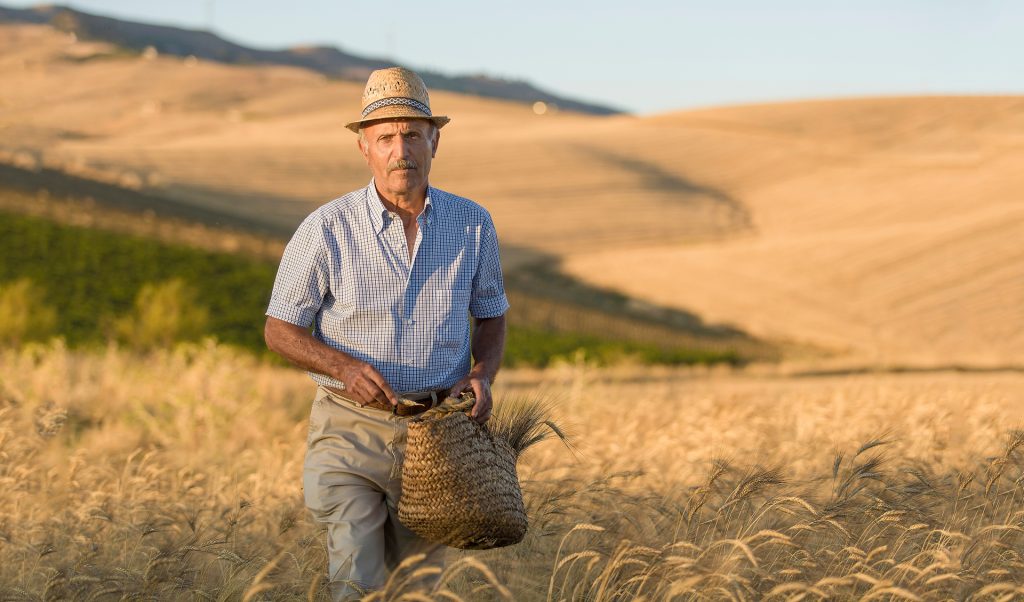 Negoziobio.info. Prodotti biologici liberi dalle mafie