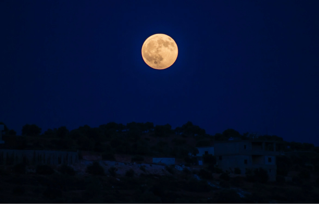 Ogni cosa (non) è illuminata