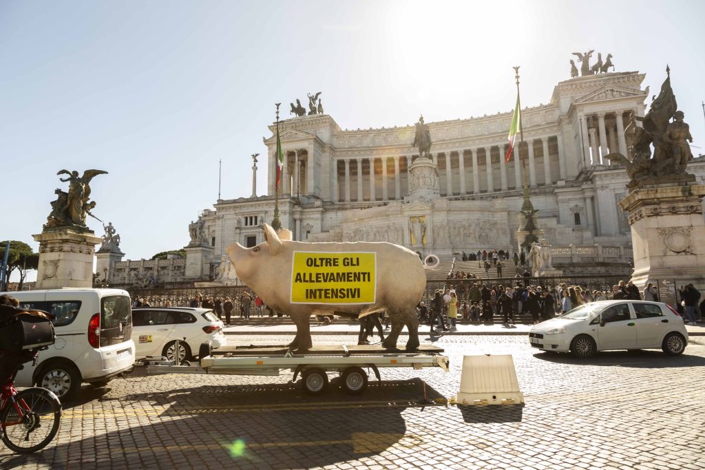 Oltre gli allevamenti intensivi, proposta di legge presentata in Parlamento da Greenpeace, ISDE, Lipu, Terra! e WWF