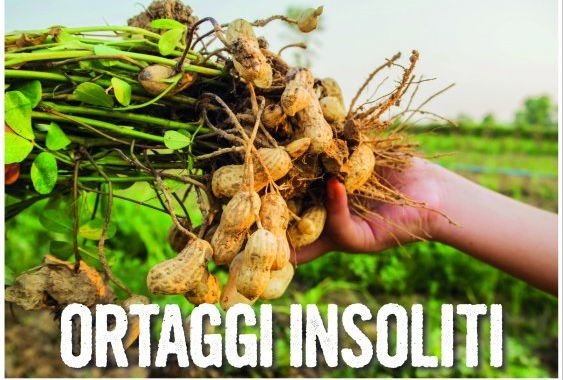 Ortaggi insoliti. Per un orto globale, locale e biodiverso