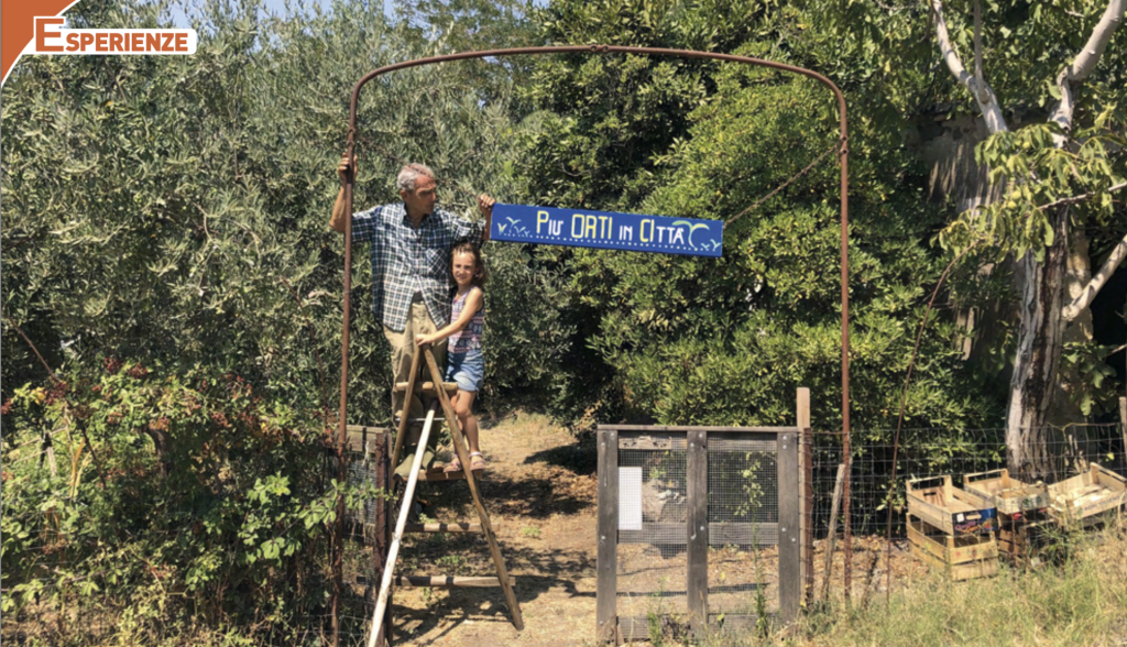 Orti urbani sostenibili, il futuro prende forma