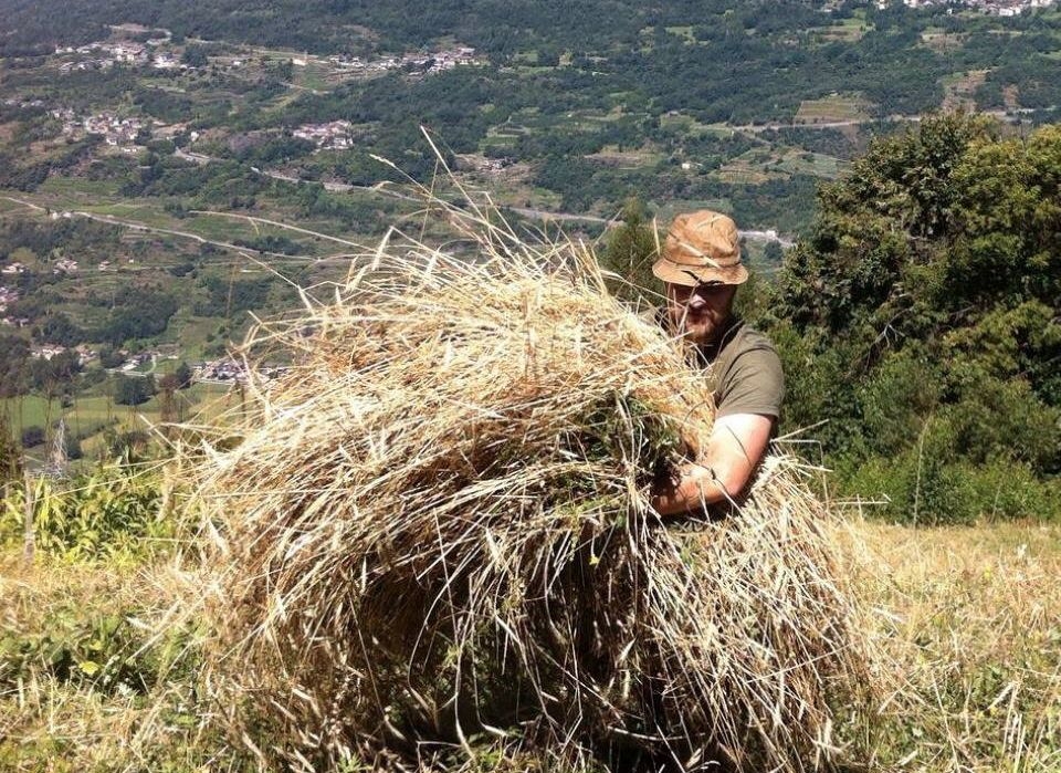 Orto Tellinum: in Valtellina il take away del chilometro 0