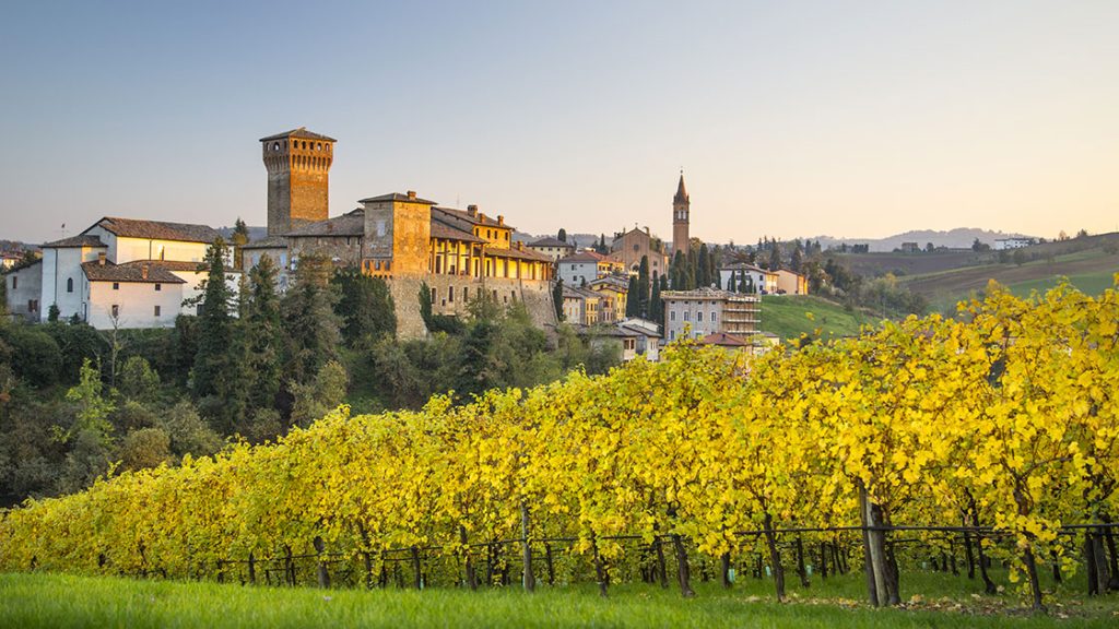 Paolo Ermani: «L’Italia ritorni alla sua vocazione agricola e artigianale»