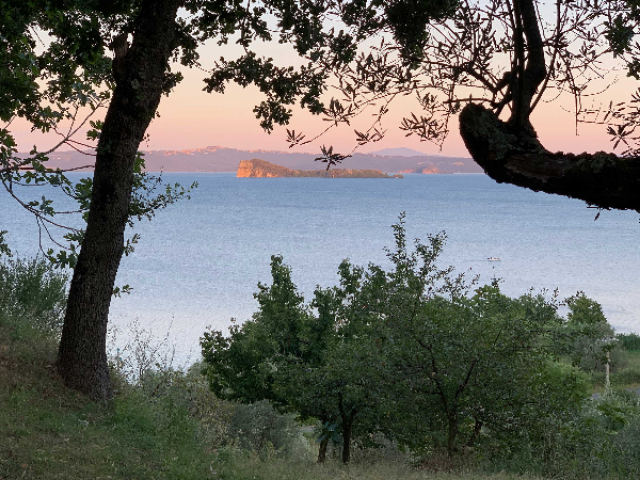 Parte l’iter per la costituzione del Biodistretto del Lago di Bolsena