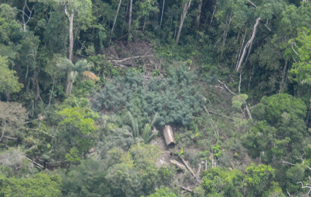 Perù, compagnia petrolifera si oppone alla riserva Napo-Tigre