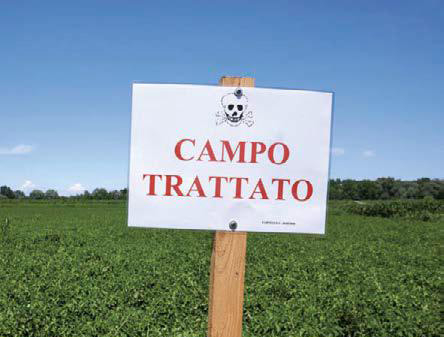 Pesticidi: a che punto siamo?