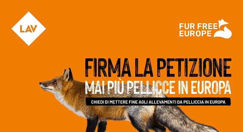 Petizione della Lav: “Mai più pellicce in Europa”