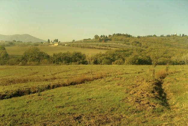 Progettare un giardino commestibile: clima e meteo