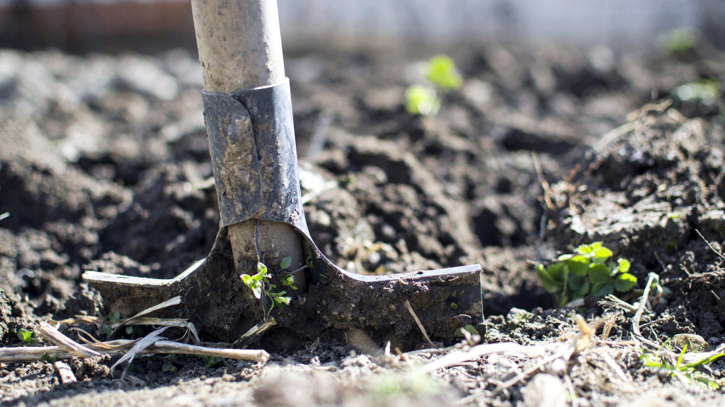 Quando l’agricoltura biodinamica è al femminile