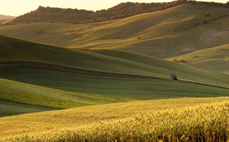 Riconosciuto il distretto biologico della Maremma