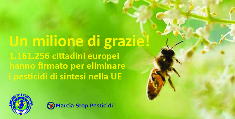 Salviamo Api e Agricoltori: valida la raccolta di un milione di firme