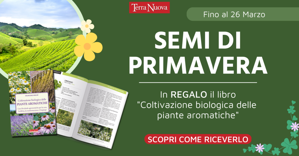 Semi di primavera: l’omaggio di Terra Nuova per te