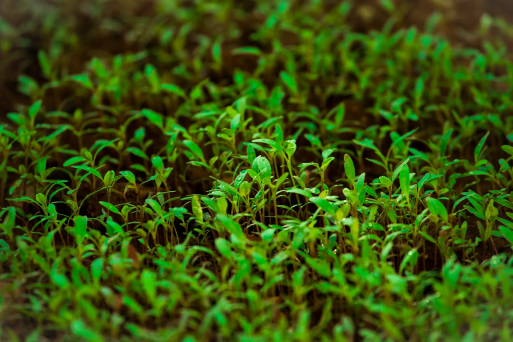 Slow Food: «Senza suolo non c’è sovranità agroalimentare. Senza terra non c’è vita»