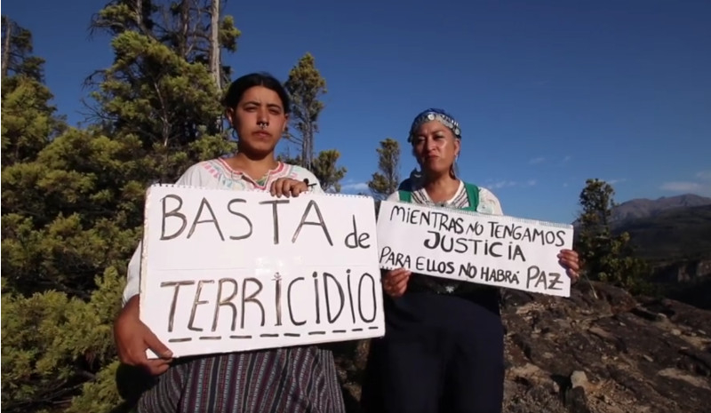 “Stop al Terricidio!”: la marcia di protesta in Argentina del Movimiento de Mujeres Indígenas por el Buen Vivir