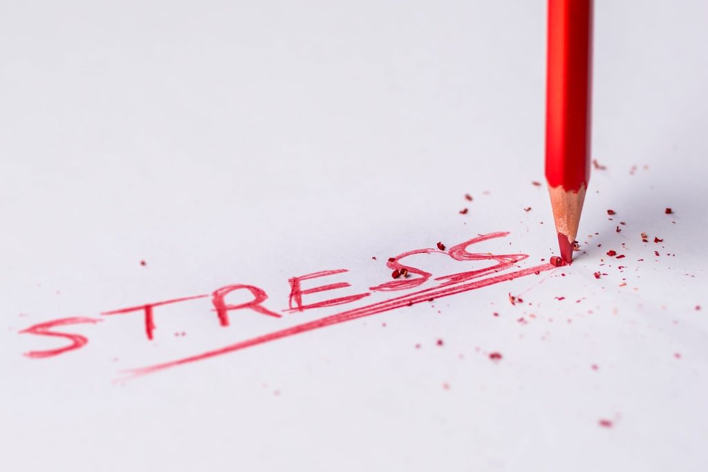 «Stress e salute: strategie quotidiane per vivere in armonia con noi stessi»