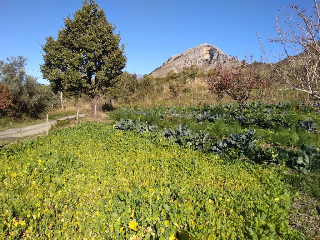 Terra Gi: una terra da vivere insieme