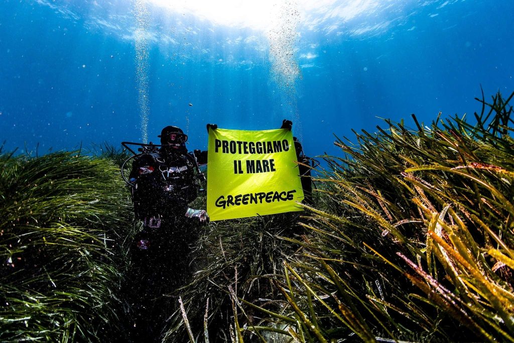 Tonnellate di plastica nel “santuario dei cetacei”: esposto di Greenpeace