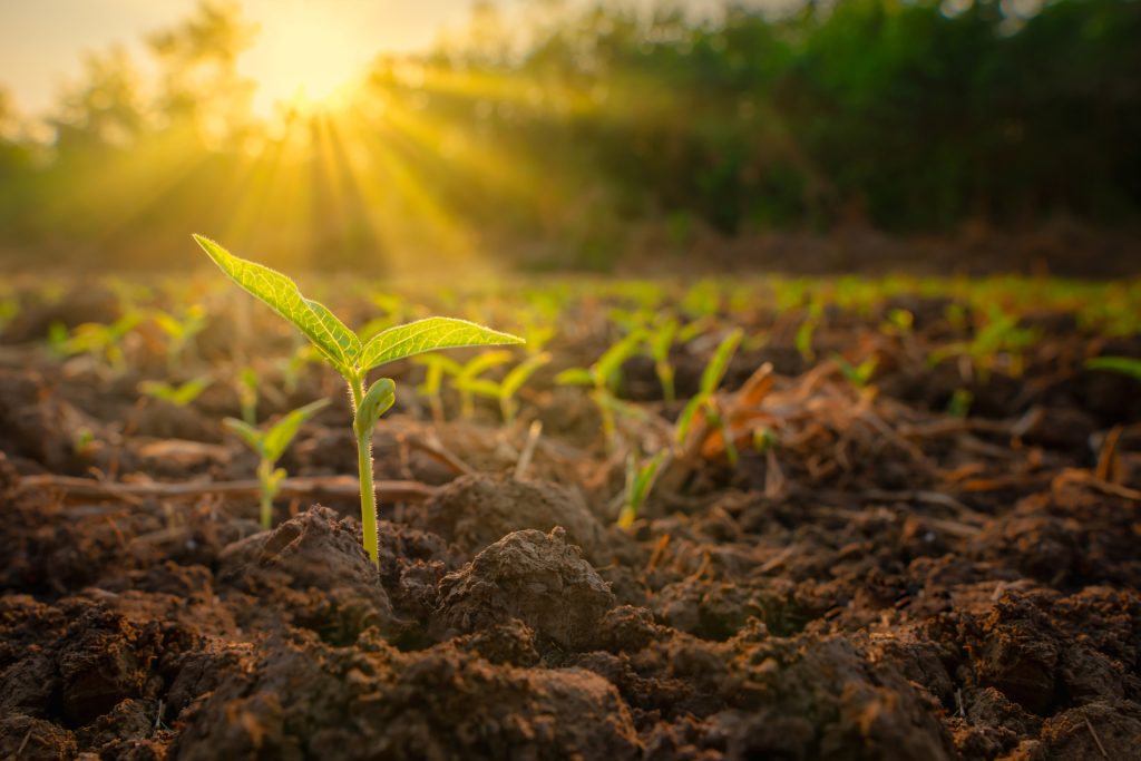 Un’università popolare per la bioagricoltura