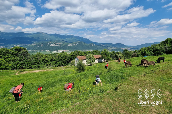 Una Cascina per sognare