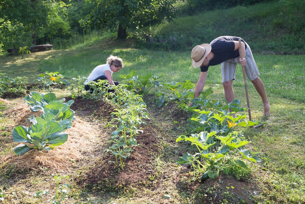 Una legge nazionale per riconoscere l’agricoltura contadina