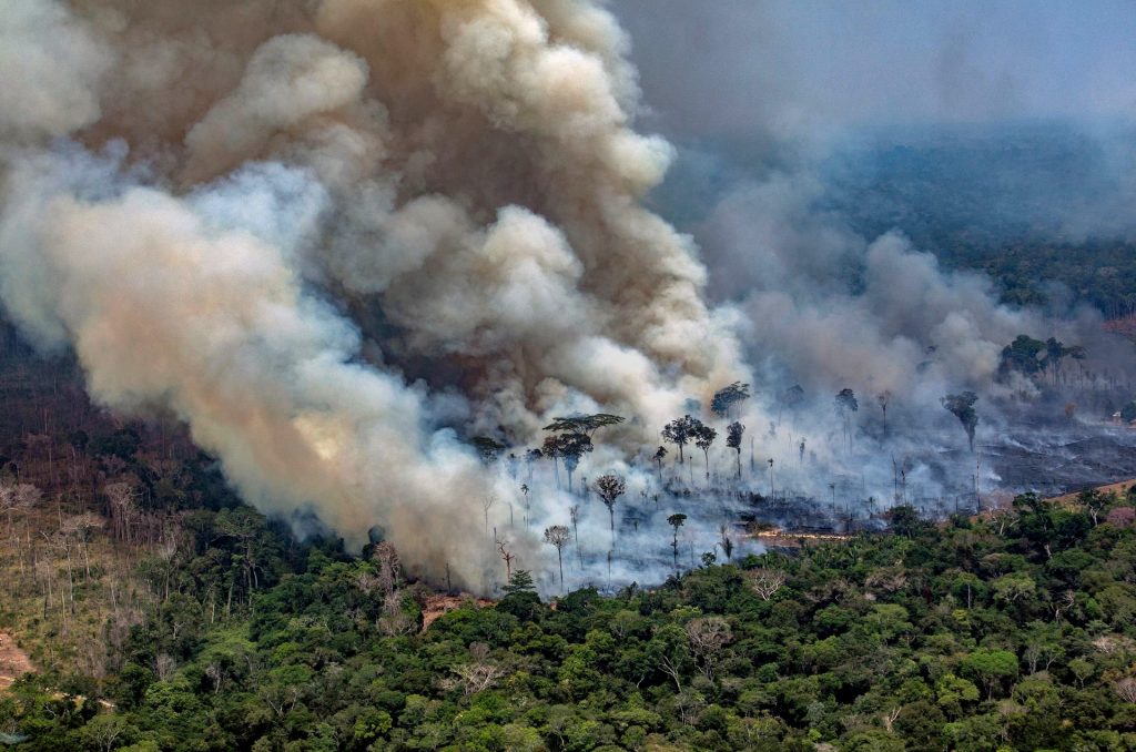 WWF: “Amazzonia allo stremo: vicini al punto di non ritorno”