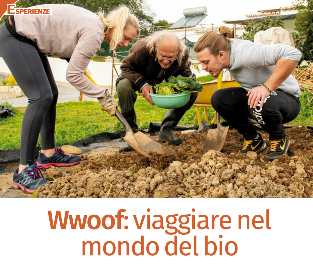 Wwoof: viaggiare nel mondo del bio