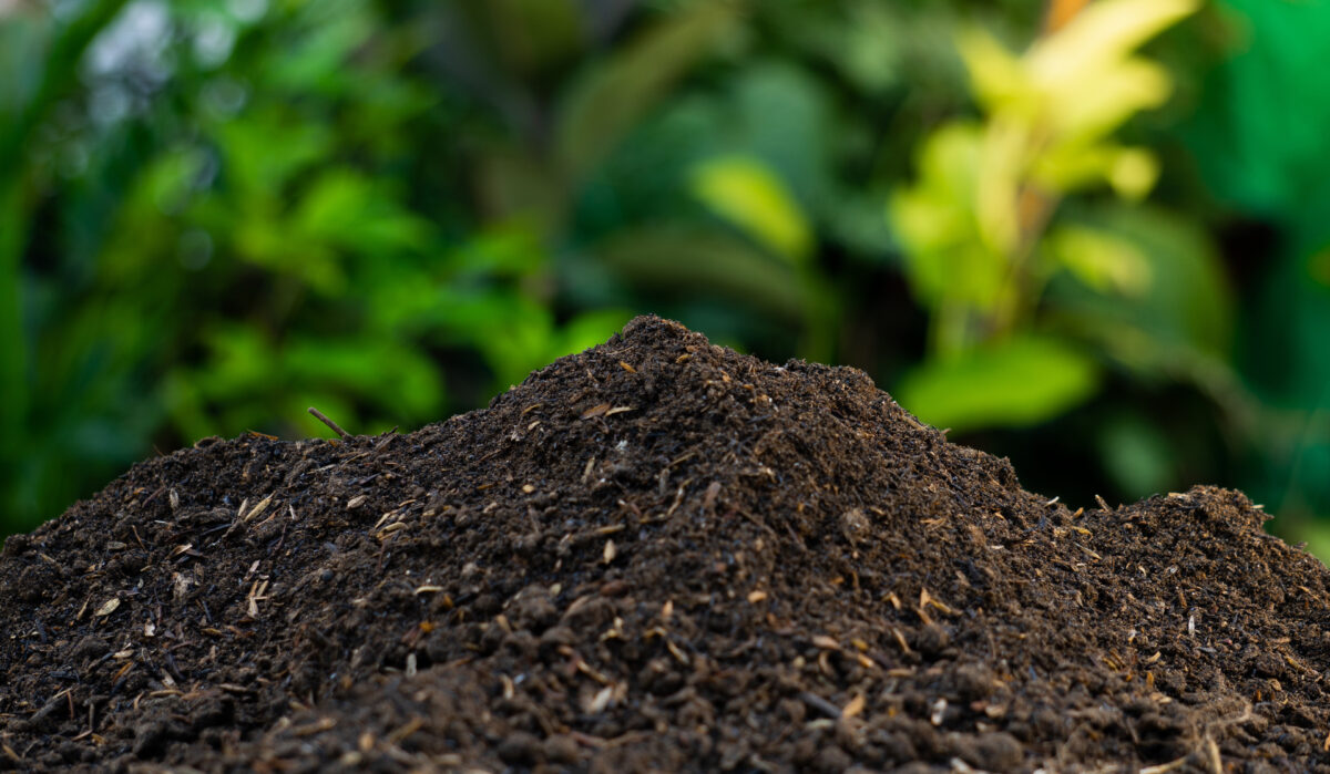 A cosa serve il compost? Ecco quando è utile