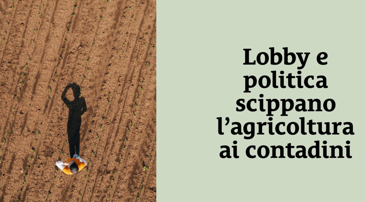 Coalizione CambiamoAgricoltura: «Politica agricola UE ad alto impatto ambientale»