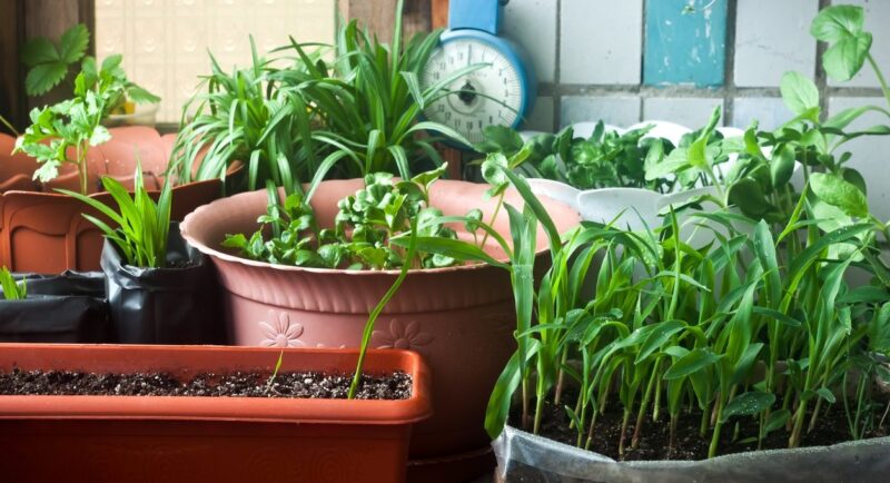 Come realizzare un impianto di irrigazione sul balcone