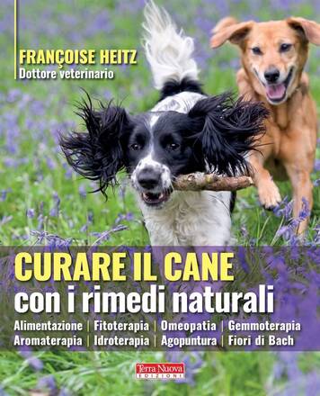 Precauzioni per l'uso di oli essenziali nei cani