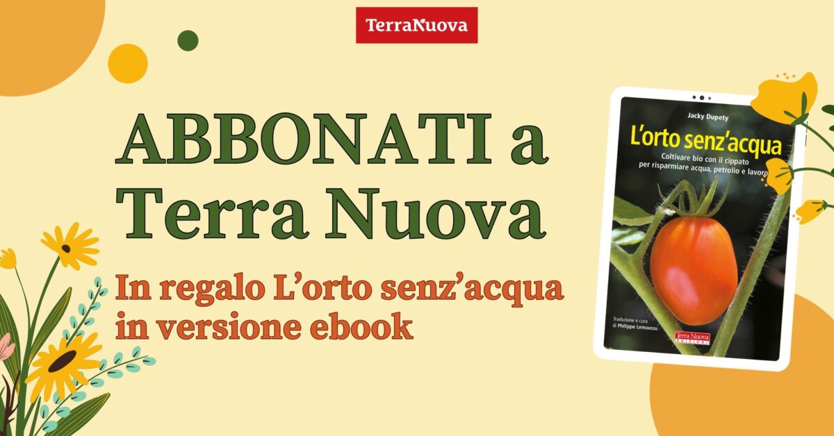 Ebook in regalo con l’abbonamento a Terra Nuova!