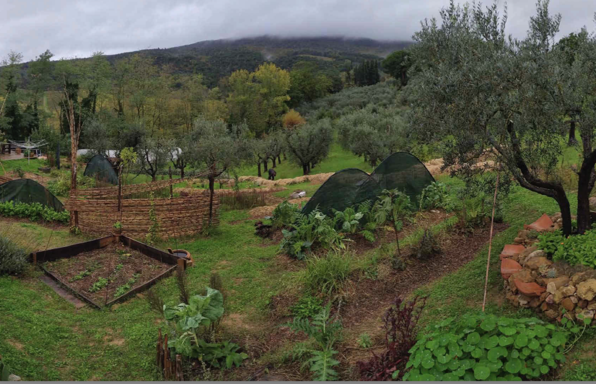 Food Forest, come creare un giardino commestibile in clima mediterraneo