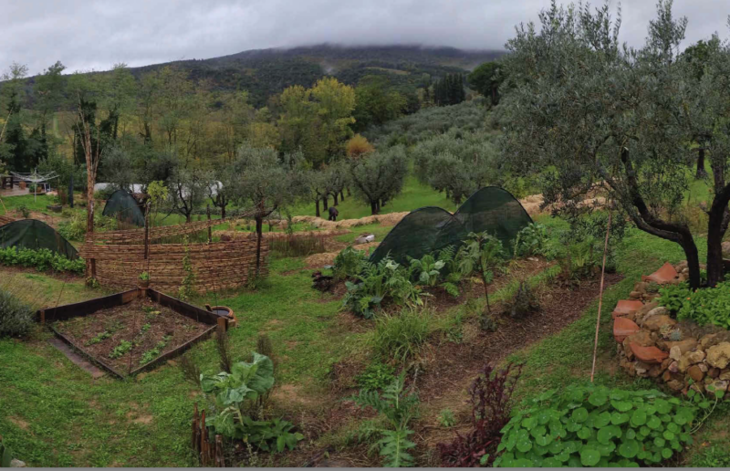 Food Forest, come creare un giardino commestibile in clima mediterraneo