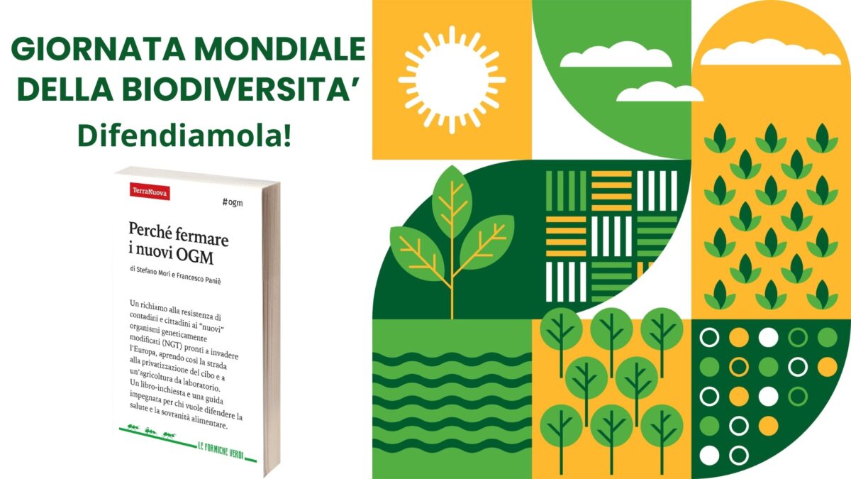 Giornata mondiale della biodiversità (sotto brevetto?)