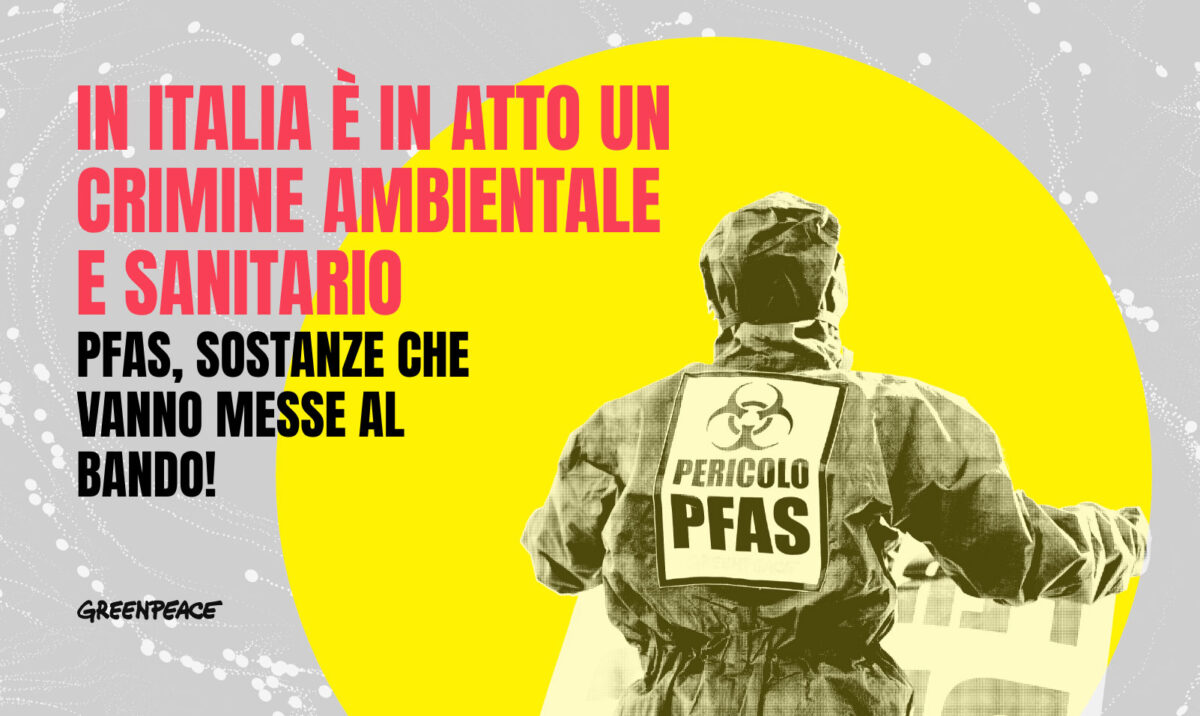 Greenpeace: «Pfas, valori oltre i limiti in residenti dell’Alessandrino, si estendano i biomonitoraggi»